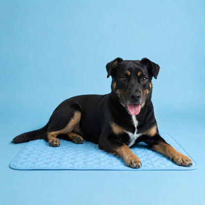 Alfombra Refrescante SoftPet™