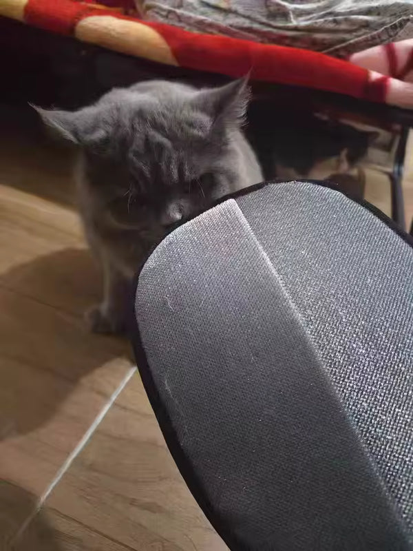 Producto reseñado